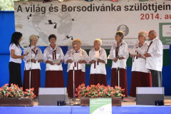 20140909_1702075254_falunap-2014-209