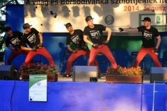 20140909_1782180151_falunap-2014-493