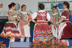 20140909_1874773740_falunap-2014-929