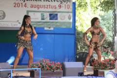 20140909_1905874990_falunap-2014-843
