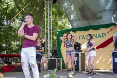 falunap2017_21_20171024_1640411705