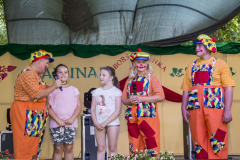 falunap2017_25_20171024_1329480775