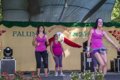 falunap2017_31_20171024_1105336204