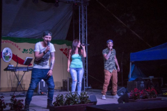falunap2017_38_20171024_1259171200