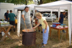 falunap3_20070819_1638949866