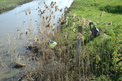 20100519_1376783309_dscf0100
