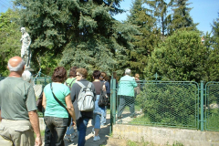 20100519_1597020773_dscf0116