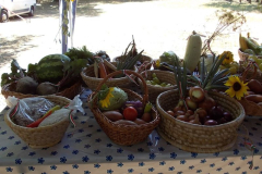 20130906_1088511382_dscn2577
