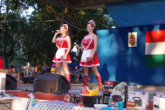 20130906_1241248589_dscn3015