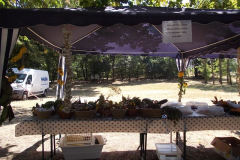 20130906_1614120217_dscn2576