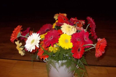 20120604_1105042110_dscn0519
