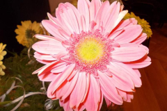 20120604_1212116590_dscn0548