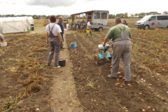 20121001_1386902176_dscn1760