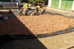 20121001_1624024934_dscn1779
